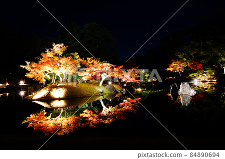 源泉園 國家特別史蹟 鶴成渚 紅葉燈火通明 源泉園 國家特別史蹟 鶴成渚 紅葉燈火通明 84890694