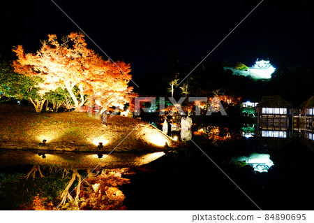 Genkyuen Garden National Special Historic Site National Treasure Castle Tower Tsurunari Nagisa Autumn Leaves Illuminated 84890695