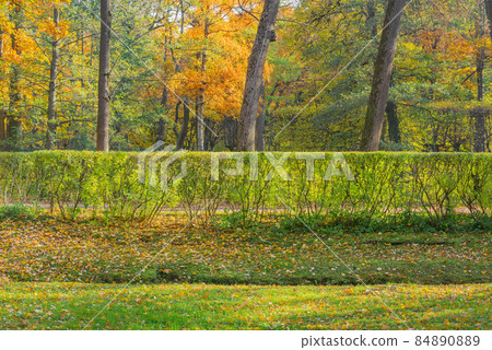 View of the city park at autumn time. 84890889