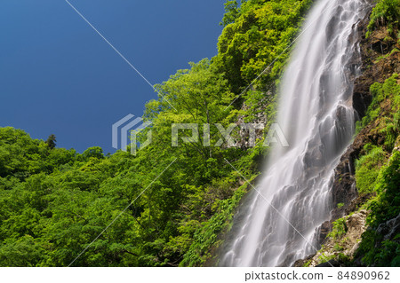 《Hyogo Prefecture》 Quasi-national park, scenery of Tendaki Valley [May] 84890962