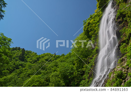 《Hyogo Prefecture》 Quasi-national park, scenery of Tendaki Valley [May] 84891163