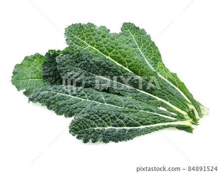 black kale, italian kale, tuscan kale, lacinato, dinosaur on white background black kale, italian kale, tuscan kale, lacinato, dinosaur on white background 84891524