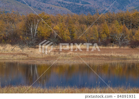 Odashirogahara in autumn Odashirogahara in autumn 84891931