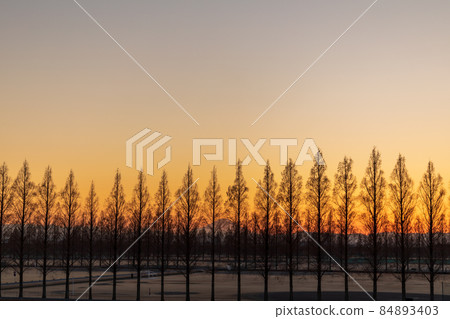 “埼玉縣” 荒川河床的美麗夜景 84893403