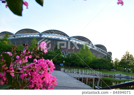 Big Swan and Crape Myrtle (Niigata Prefecture) Big Swan and Crape Myrtle (Niigata Prefecture) 84894071