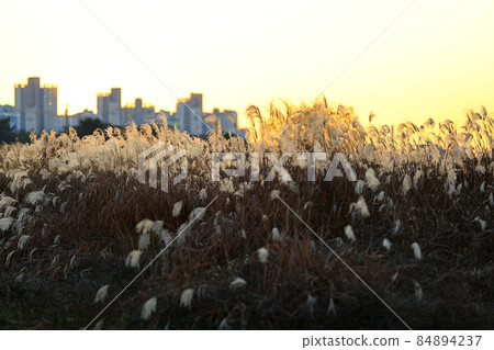 autumn scenery, twilight autumn scenery, twilight 84894237