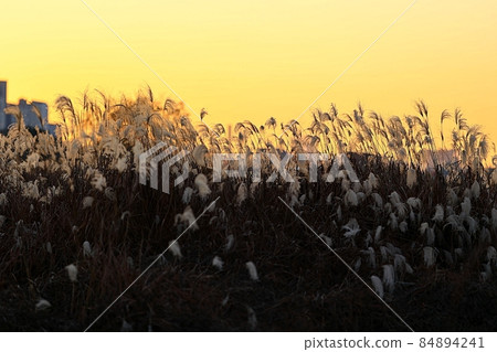 autumn scenery, twilight autumn scenery, twilight 84894241