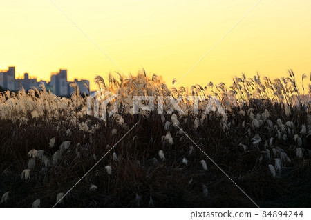 autumn scenery, twilight autumn scenery, twilight 84894244