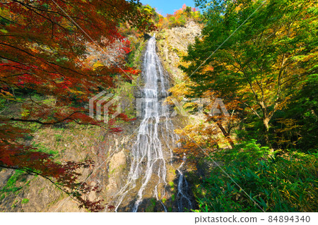 《Hyogo Prefecture》 Sunny day, scenery of Tendaki Valley [November] 84894340