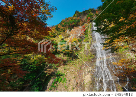 《Hyogo Prefecture》 Sunny day, scenery of Tendaki Valley [November] 84894918