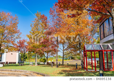 Kaizu City, Gifu Prefecture Autumn Aqua World Mizugo Park Center with beautiful autumn leaves of sweetgum Kaizu City, Gifu Prefecture Autumn Aqua World Mizugo Park Center with beautiful autumn leaves of sweetgum 84895138