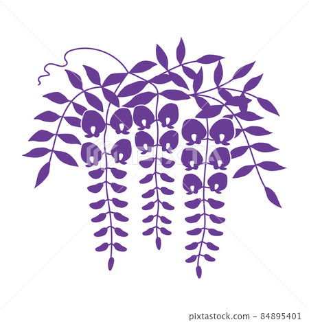 Wisteria flower silhouette illustration purple 84895401