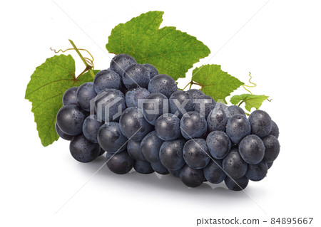 Grape (Steuben) with water drops Grape (Steuben) with water drops 84895667