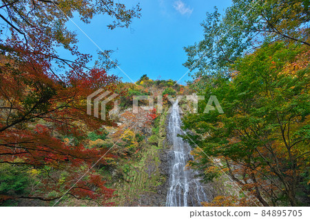 《Hyogo Prefecture》 Sunny day, scenery of Tendaki Valley [November] 84895705
