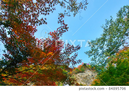 《Hyogo Prefecture》 Sunny day, scenery of Tendaki Valley [November] 84895706