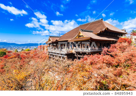 秋天的京都清水寺本堂 84895943