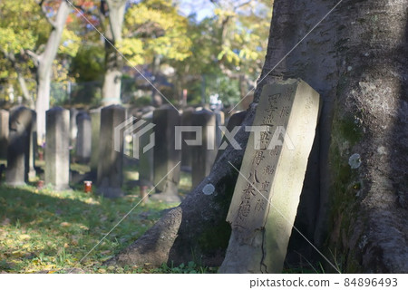 真田山軍墳場 84896493
