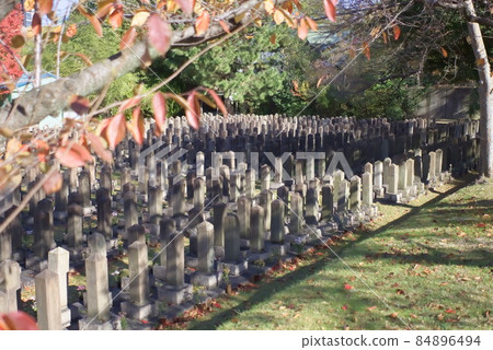 真田山軍墳場 84896494