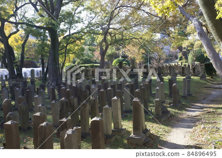 真田山軍墳場 84896495