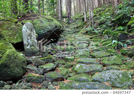 Crossing Mt. Hachiki (Ise Kodo) [Owase City, Mie Prefecture] 84897347