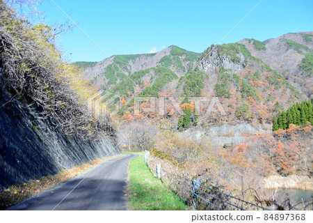 深秋豐岡水壩環道 84897368