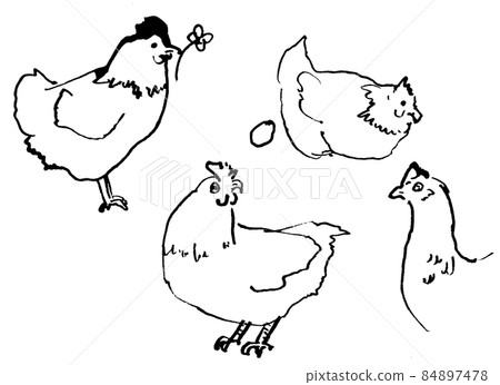 Line drawing illustrations of various chickens - Stock Illustration ...