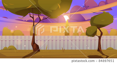 Backyard with fence, grass and trees at sunset Backyard with fence, grass and trees at sunset 84897651