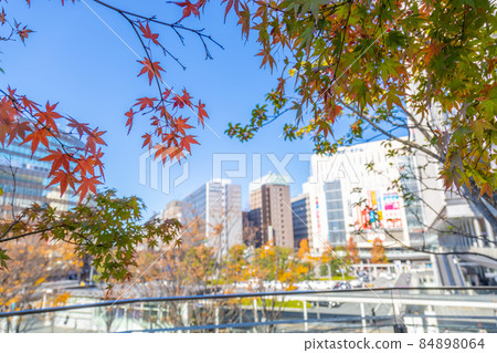 Autumn leaves and scenery in front of Hakata Station 84898064