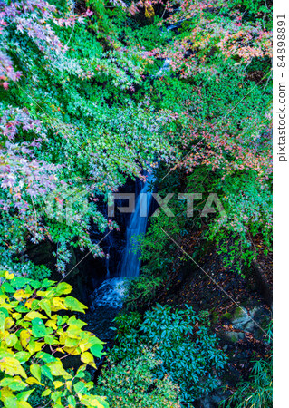 (千葉)富津市紅葉路地藏道瀑布深秋落葉 (千葉)富津市紅葉路地藏道瀑布深秋落葉 84898891