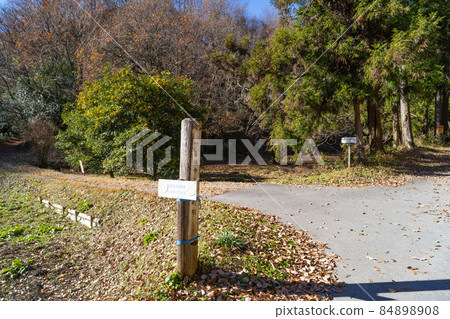 觀之倉山的起點(埼玉縣小川町) 觀之倉山的起點(埼玉縣小川町) 84898908