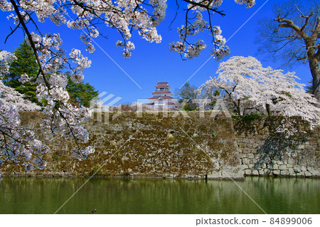 Tsuruga Castle in spring (Fukushima Prefecture, Aizu Wakamatsu City) Tsuruga Castle in spring (Fukushima Prefecture, Aizu Wakamatsu City) 84899006