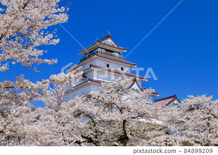 春天的敦賀城(福島縣,會津若松市) 春天的敦賀城(福島縣,會津若松市) 84899209