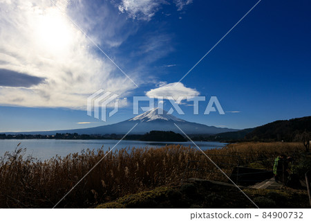 山梨縣富士河口湖町大石公園的富士山 84900732