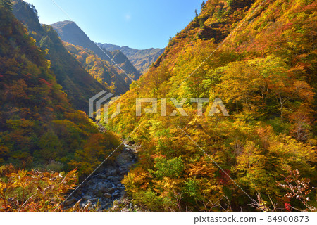 與高倉澤相遇的越後三山水梨川的紅葉,眺望八海山 與高倉澤相遇的越後三山水梨川的紅葉,眺望八海山 84900873