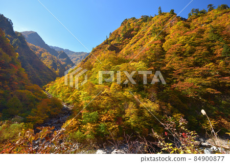 與高倉澤相遇的越後三山水梨川的紅葉,眺望八海山 與高倉澤相遇的越後三山水梨川的紅葉,眺望八海山 84900877