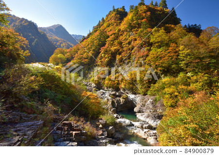 從大鶴水澤附近眺望八海山的越後三山水梨川的紅葉 從大鶴水澤附近眺望八海山的越後三山水梨川的紅葉 84900879