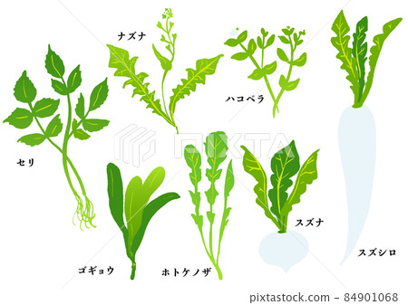 Seven herbs of spring, seven herbs porridge, chickweed chickweed, henbit deadnettle, shepherd's purse 84901068