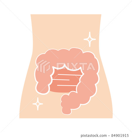 Healthy and reasonably clean intestines 84901915