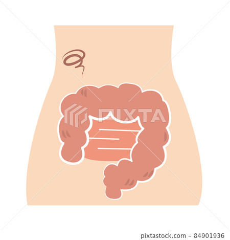 Unhealthy and reasonably dirty intestines Unhealthy and reasonably dirty intestines 84901936