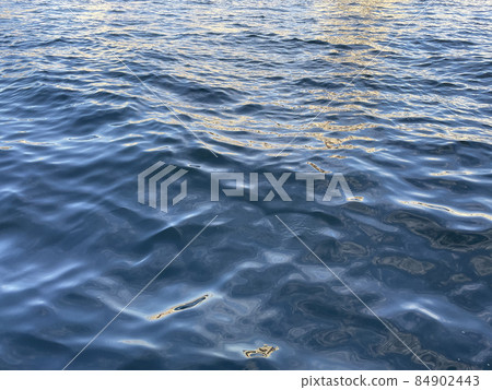 Sumida River ・ The surface of the river that glitters before sunset in autumn 84902443