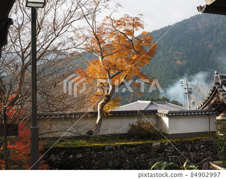 Ohara Sanzenin 84902997