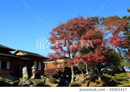 彥根城/樂樂園[滋賀縣彥根市] 84903417