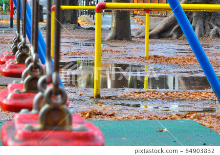 The arrival of winter, the last autumn leaves, Kinuta Park. 84903832