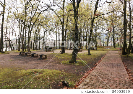 Tateoka Nature Park 84903959