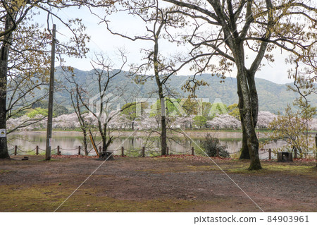 Tateoka Nature Park 84903961