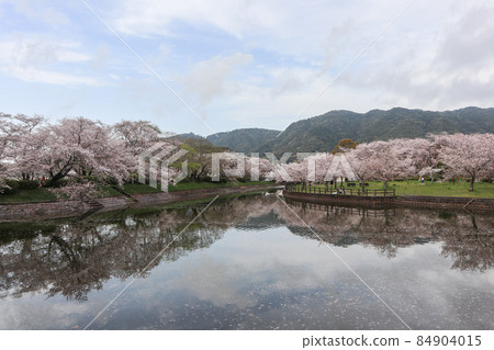 Tateoka自然公園 Tateoka自然公園 84904015
