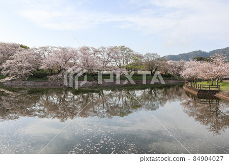 Tateoka Nature Park Tateoka Nature Park 84904027