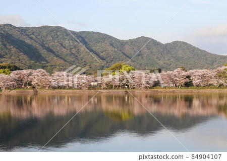Tateoka Nature Park Tateoka Nature Park 84904107