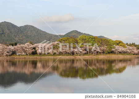 Tateoka Nature Park Tateoka Nature Park 84904108