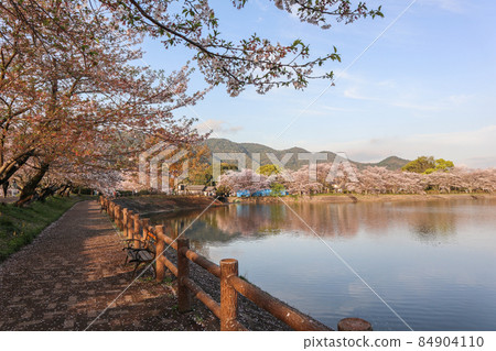 Tateoka Nature Park Tateoka Nature Park 84904110
